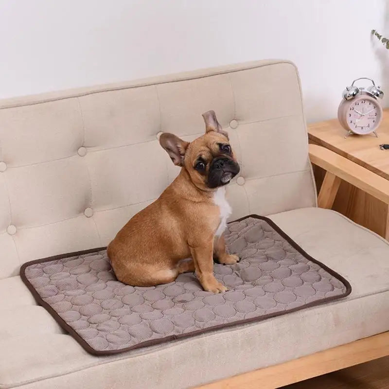 Pet Cooling Mat.